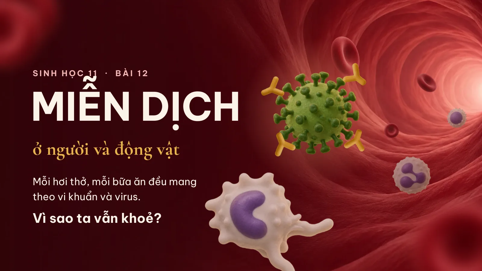 Miễn dịch ở người và động vật – Sinh học 11, ảnh 1